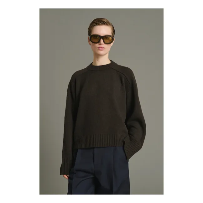 Pull Will Laine Mérinos | Chocolat