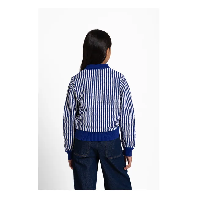 Pull Col Polo Zia Rayé | Bleu électrique