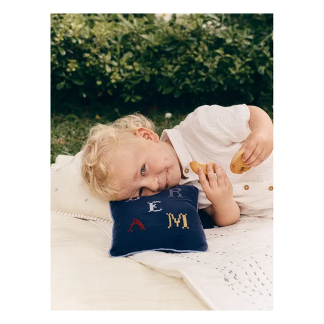 Dream Clovis cushion | Night Blue Gauze