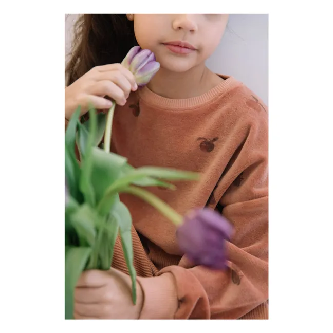 Sweatshirt Bart Velours Apfel | Rosa