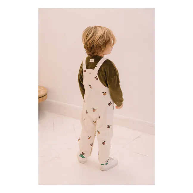 Peto Homer Apple | Crudo