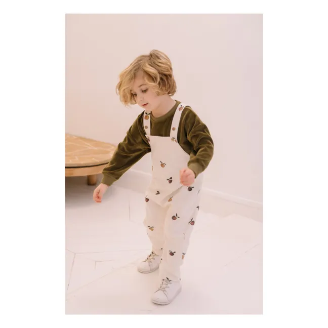 Peto Homer Apple | Crudo