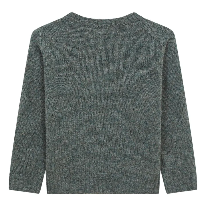 Jersey de lana Shetland | Salvia- Imagen del producto n°1