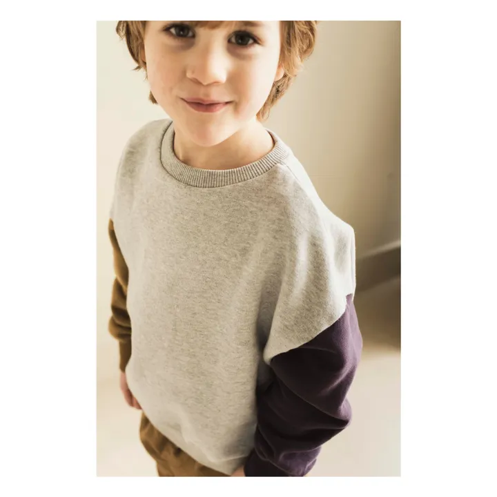Lucky Bird sweatshirt | Grey- Product image n°2
