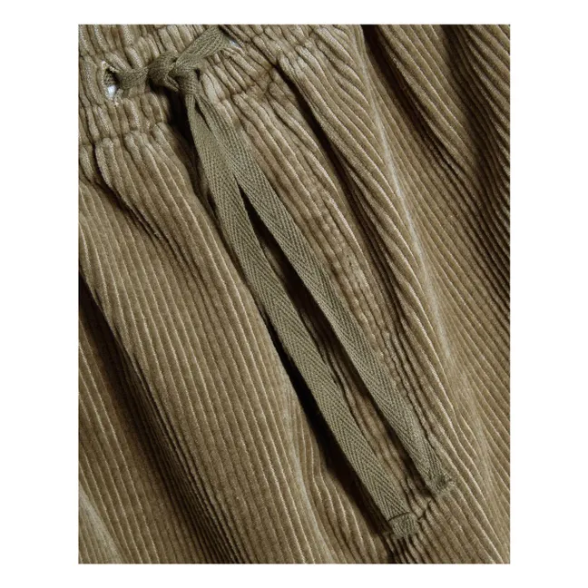 Pantaloni Alva Skate Velours | Marrone kaki