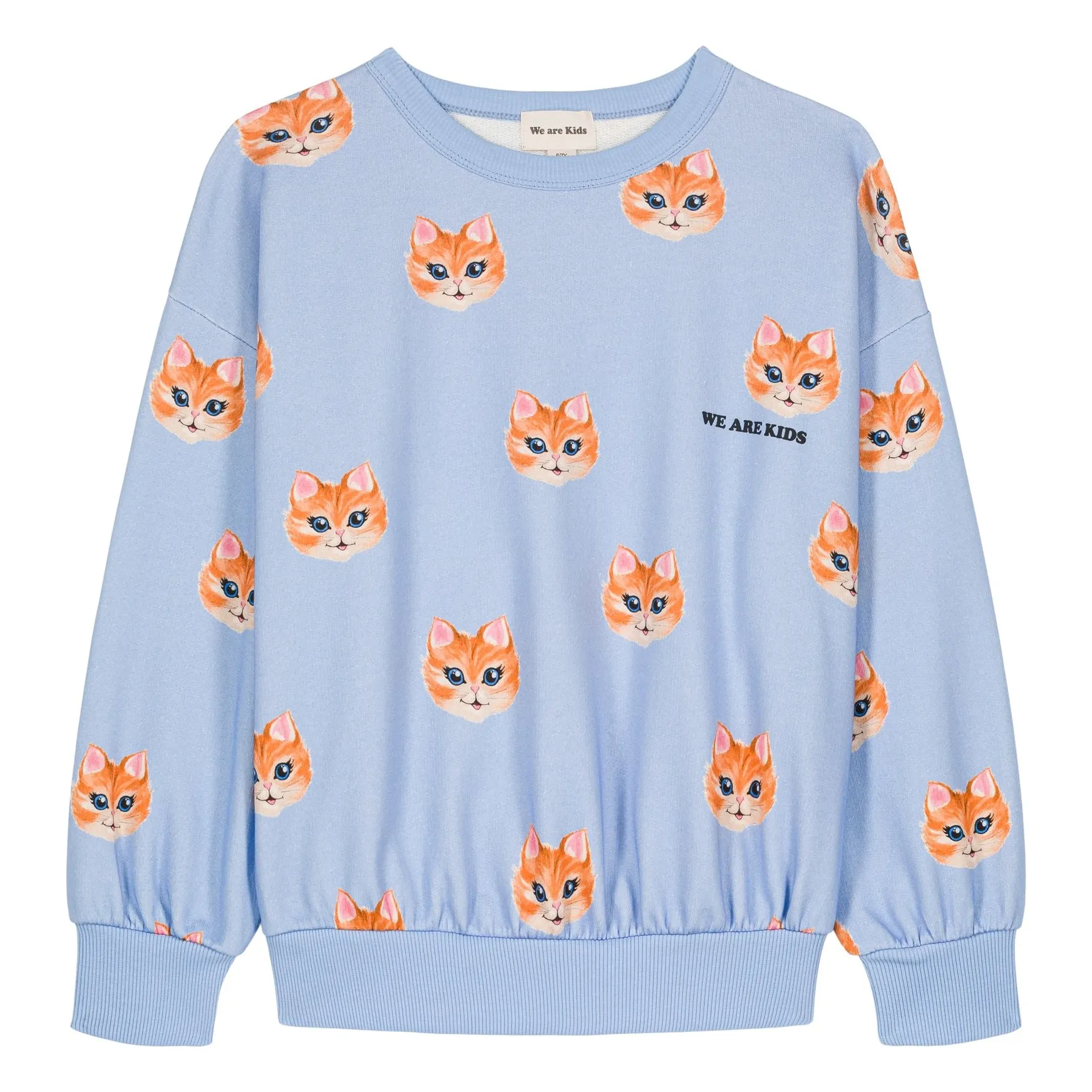 We Are Kids Light Blue Tony Petit Chat Organic Cotton Sweatshirt