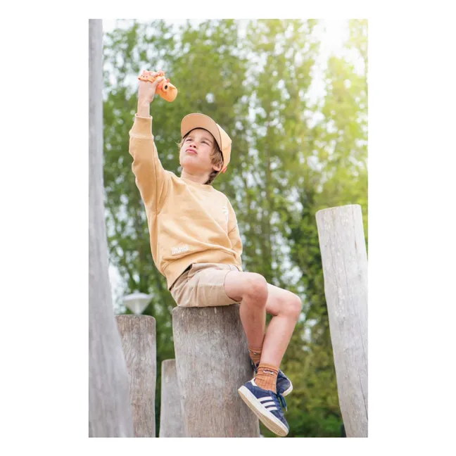 Zoo-Videokamera - Fuchs