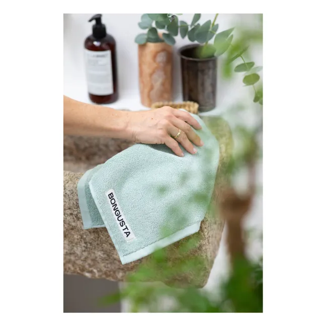 Naram guest towel | Sage