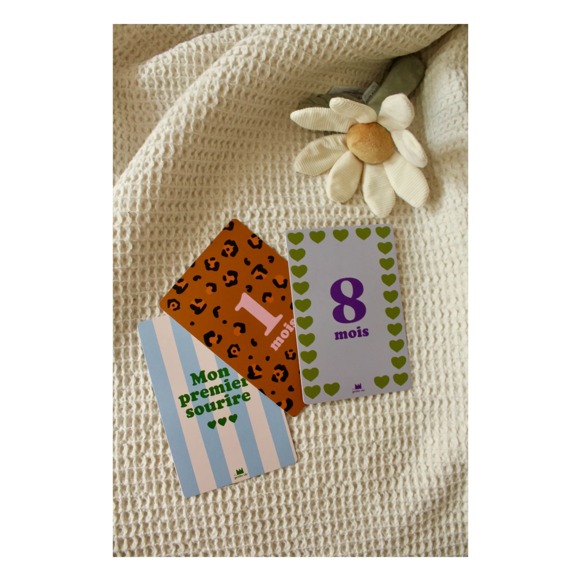 Ma petite vie - Cartes étapes Mes 12 premiers mois (Ma petite vie) - Couverture