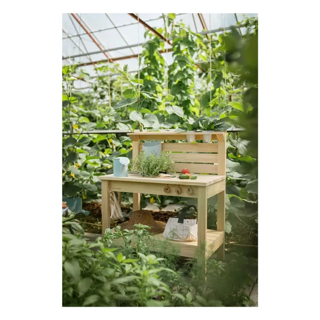 Cucina esterna | Pino