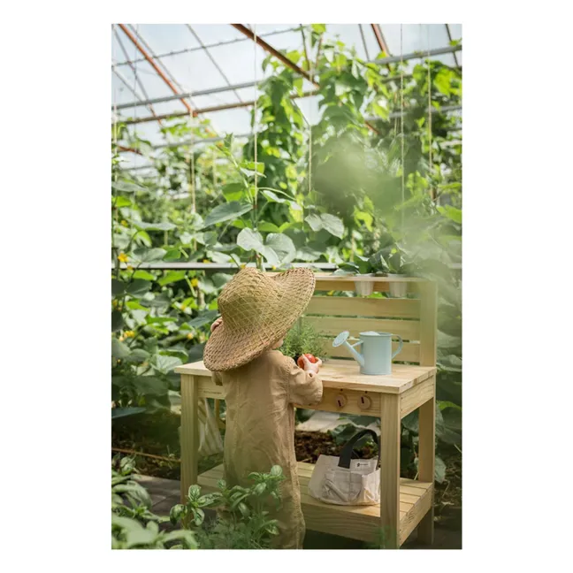 Cucina esterna | Pino