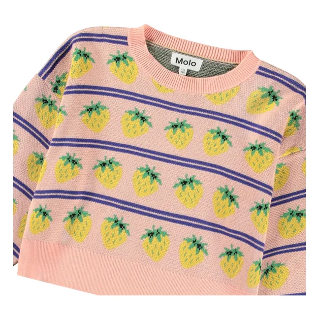 Pull Gerrie Coton Bio | Rose