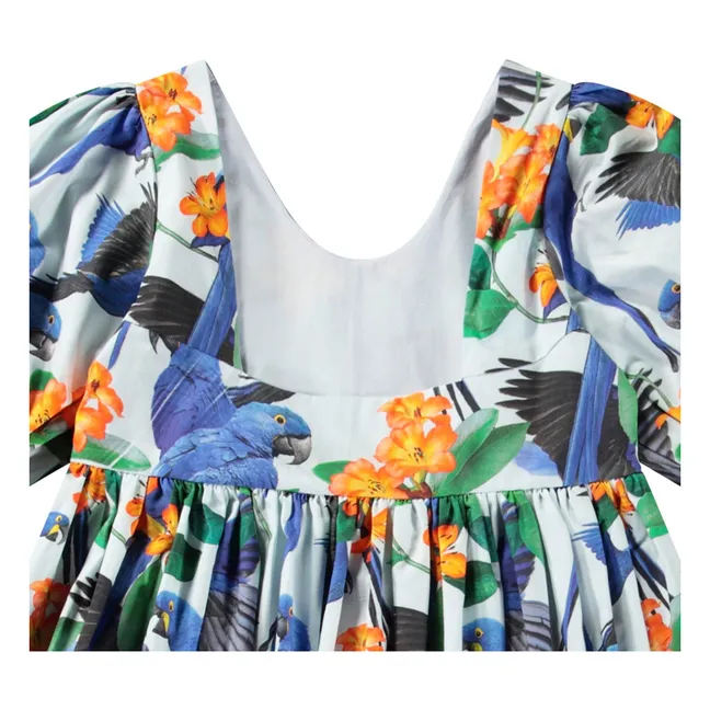 Robe Camilo Coton Bio | Bleu