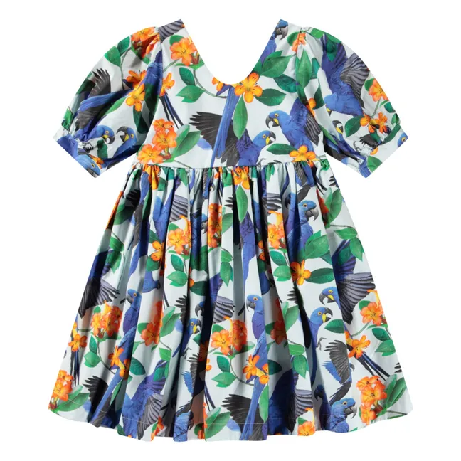 Robe Camilo Coton Bio | Bleu