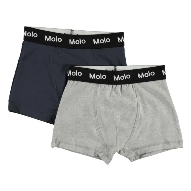 Confezione da 2 boxer Justin in cotone biologico | Grigio