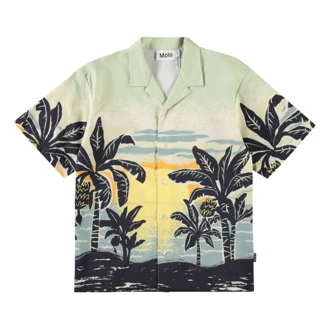 Camisa Rui de algodón orgánico | Verde agua