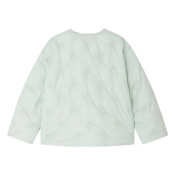 Enyla jacket | Celadon- Product image n°1