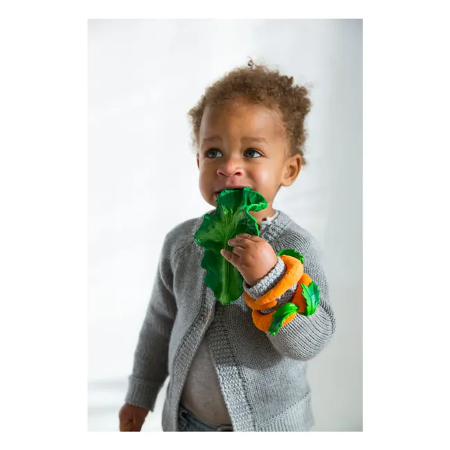 Kendall the cabbage teething ring