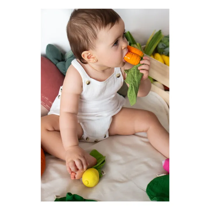 Jouet de dentition Cathy la carotte- Image produit n°6