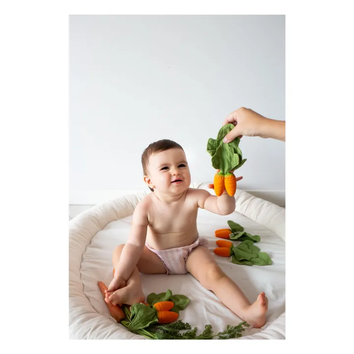 Jouet de dentition Cathy la carotte- Image produit n°8