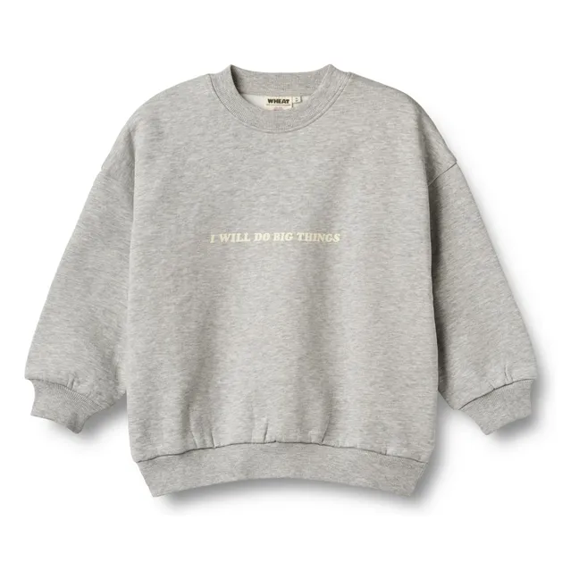 Colaboración Trigo x Pernille Teisbæk - Sweat Allo Coton Bio | Gris Jaspeado