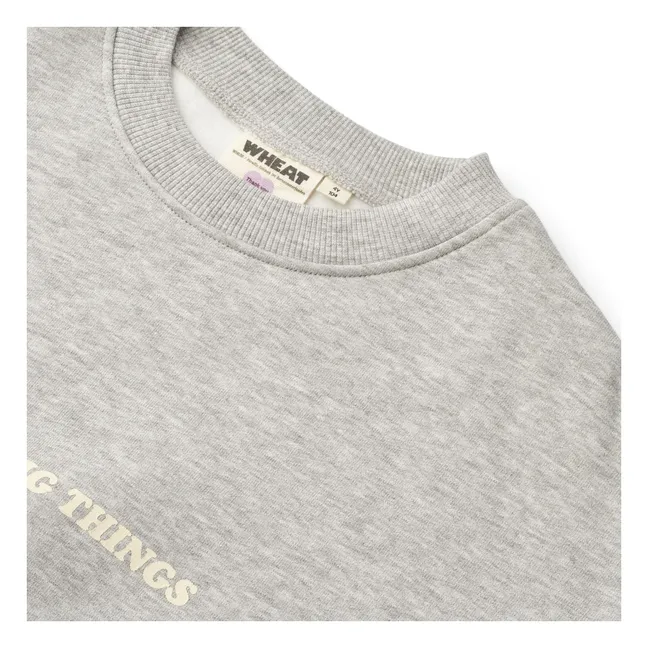 Colaboración Trigo x Pernille Teisbæk - Sweat Allo Coton Bio | Gris Jaspeado