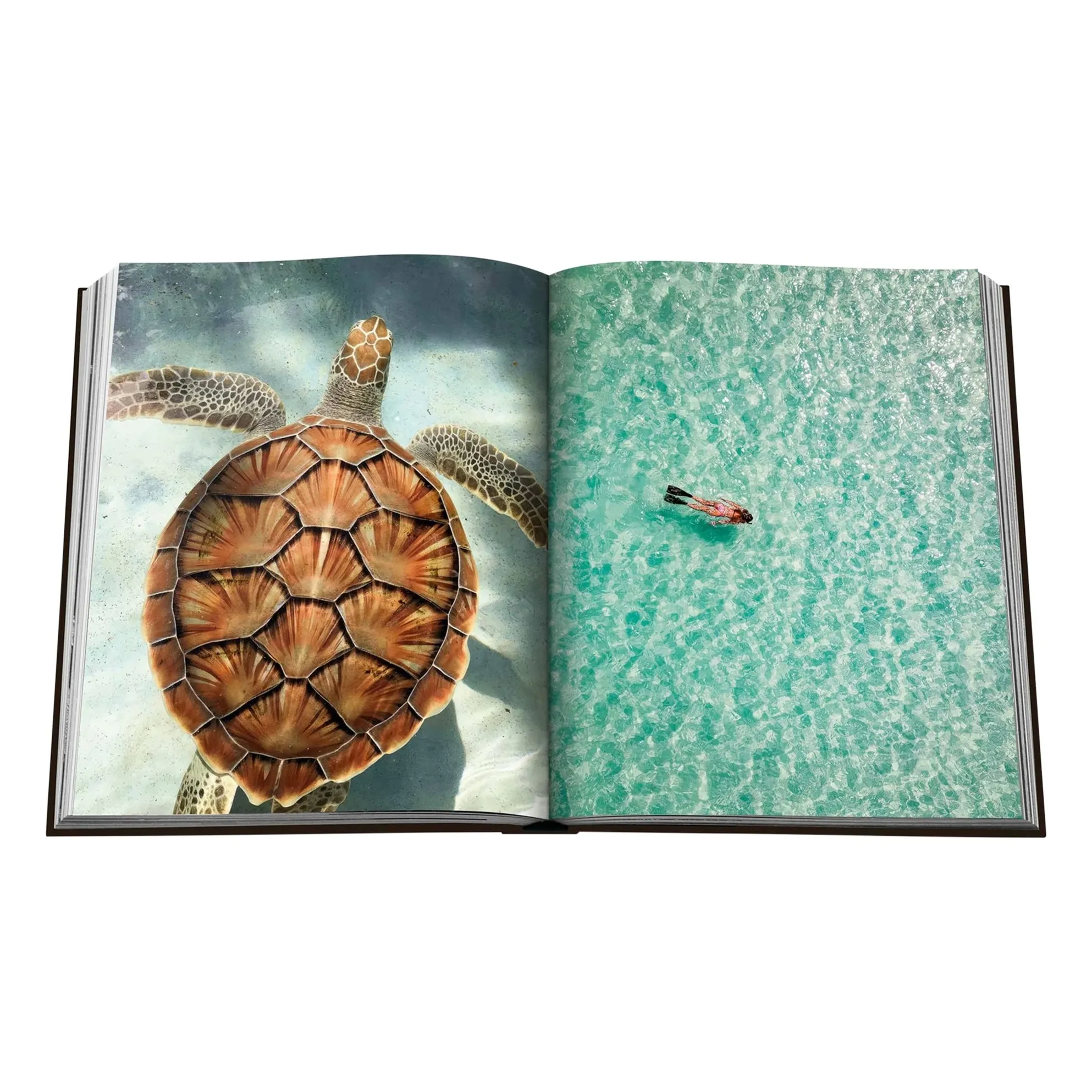 Jamaica Vibes- Product image n°1