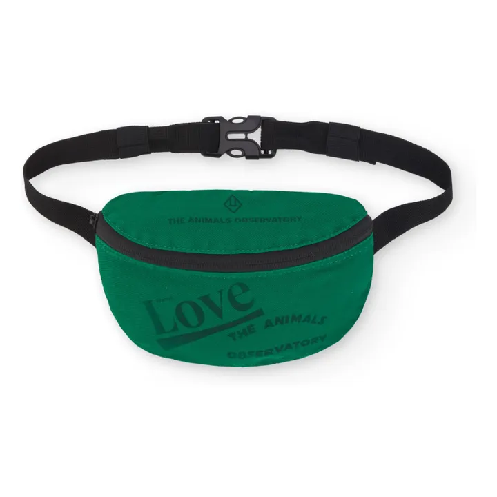 Sac Banane Fanny | Vert- Image produit n°0