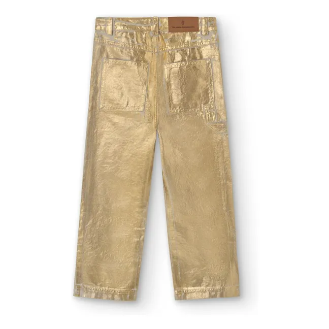 Pantalones brillantes Condor | Gold