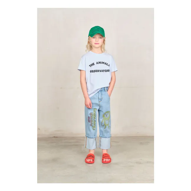 Jean Formica Leone | Blu
