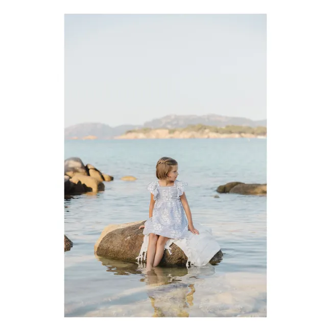 Robe Rayures Fleurie | Bleu