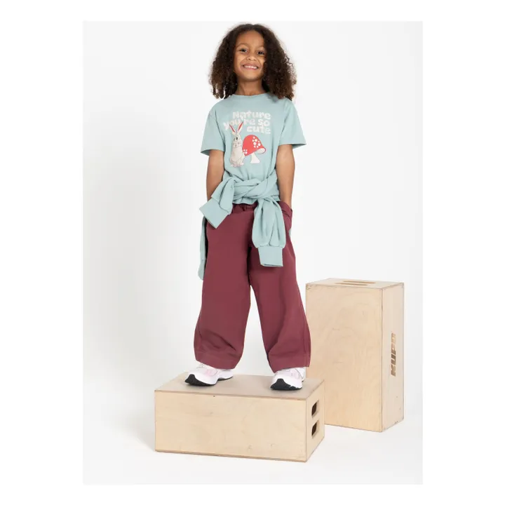 T-shirt Manches Courte Coton Bio | Sauge- Image produit n°4