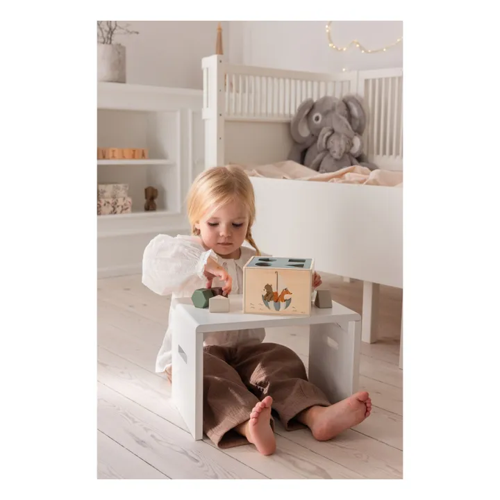 Caja de formas World of Sebra- Imagen del producto n°2