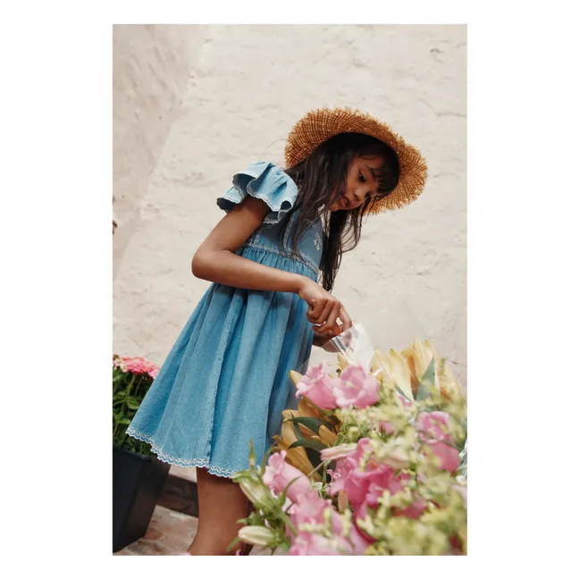 Besticktes Denim-Kleid | Denim