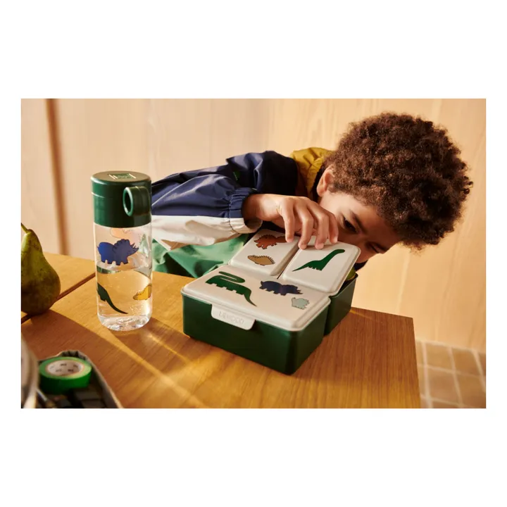 Lunch box Driss | Dinosaurs/Mist- Product image n°2