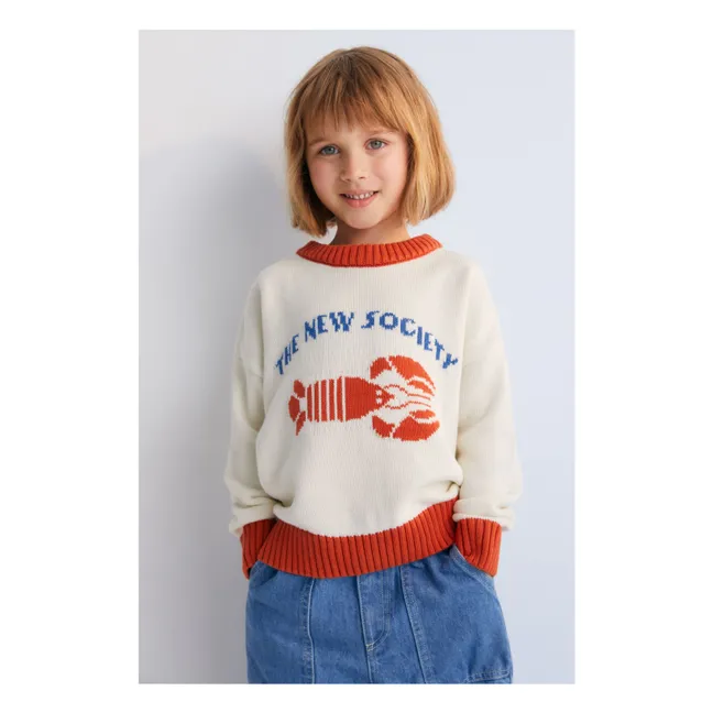 Pullover Hummer Cristel Bio-Baumwolle  | Seidenfarben