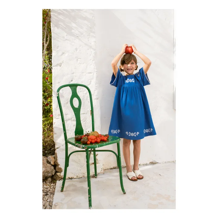 Leonidas dress  | Blue- Product image n°1