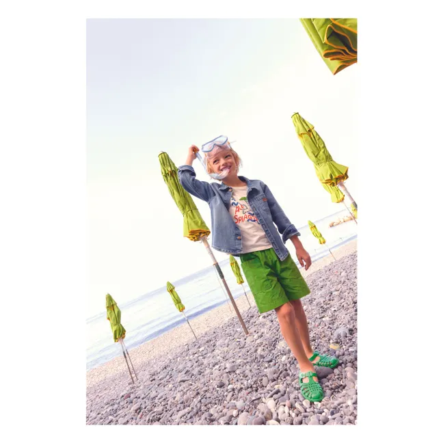 Lani shorts | Green