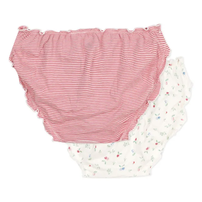 Set di 2 slip in cotone biologico a balze | Rosa antico