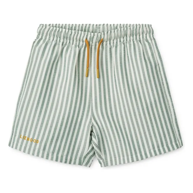 Pantaloncini da bagno in fibra riciclata Duke | Verde menta