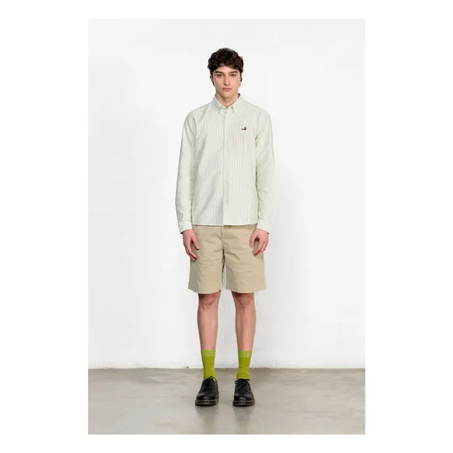 Camisa BD Duck Edition Stripes | Verde