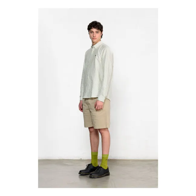 Camisa BD Duck Edition Stripes | Verde