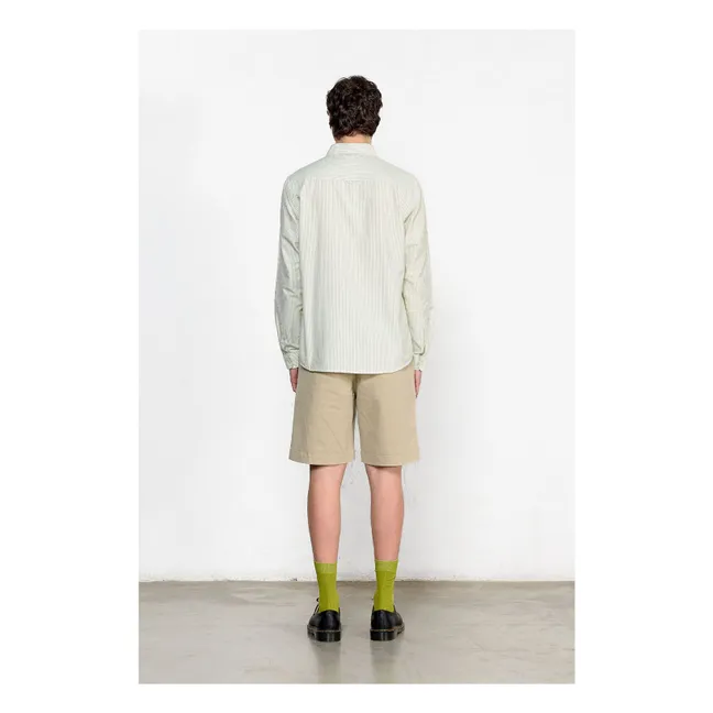 Camisa BD Duck Edition Stripes | Verde