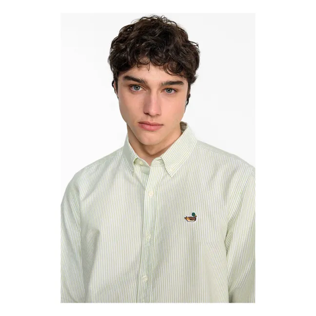 Camisa BD Duck Edition Stripes | Verde
