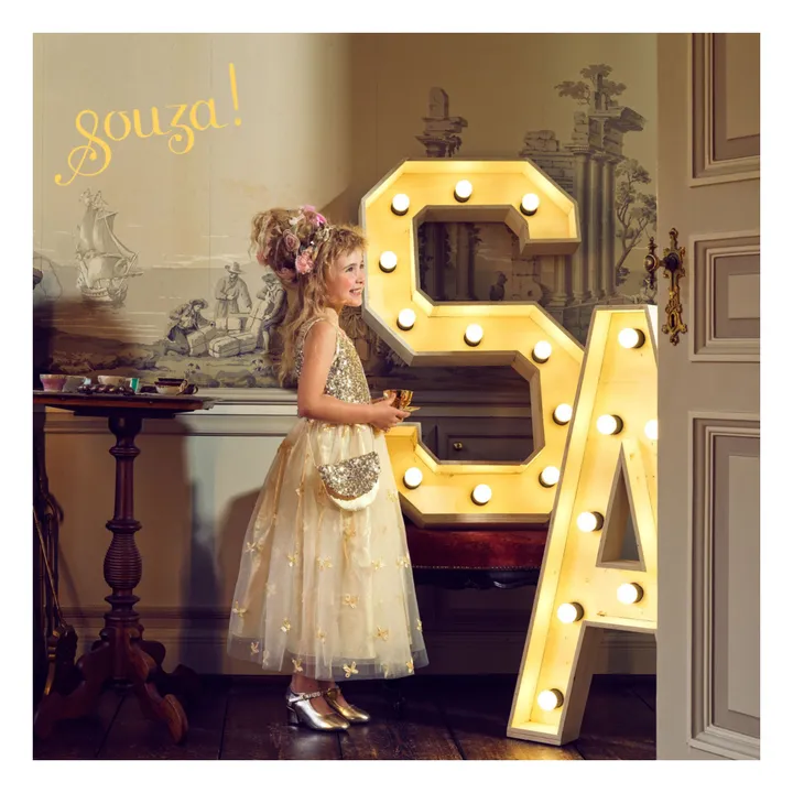 Déguisement Princesse Angélique- Image produit n°4