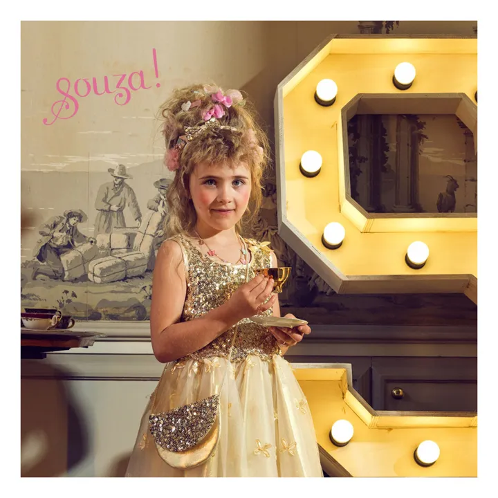 Déguisement Princesse Angélique- Image produit n°2