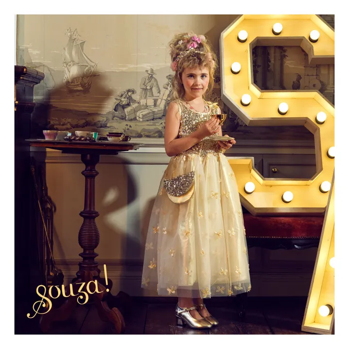 Déguisement Princesse Angélique- Image produit n°1