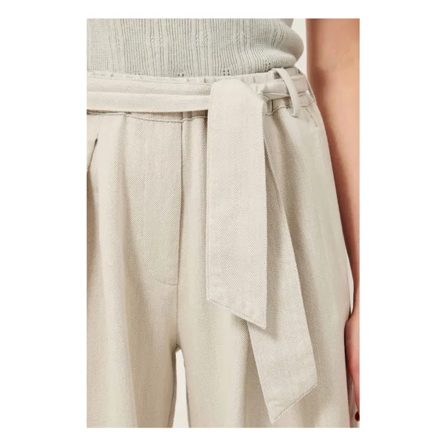 Pantalones de algodón ecológico Rinim | Gris