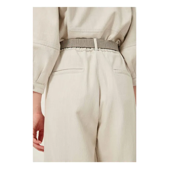 Pantalones de algodón ecológico Rinim | Gris