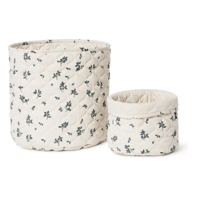 Blueberry storage basket